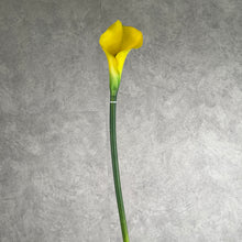 Load image into Gallery viewer, Calla Lily Artificial Silk Flower Short 75cm Stem yellow CALLALILY003
