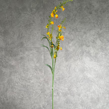 Load image into Gallery viewer, Catnip002 Yellow
