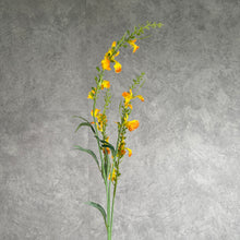 Load image into Gallery viewer, Catnip002 Yellow

