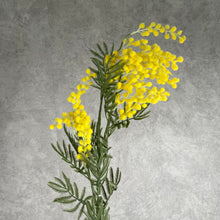 Load image into Gallery viewer, Acacia Artificial Silk Flower Stem Yellow ACACIA001
