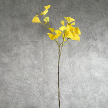 Load image into Gallery viewer, Ginkgobiloba 001 Yellow
