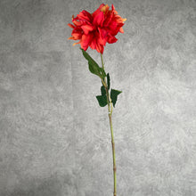 Load image into Gallery viewer, Dahlia Orange
