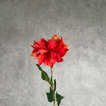 Load image into Gallery viewer, Dahlia Orange
