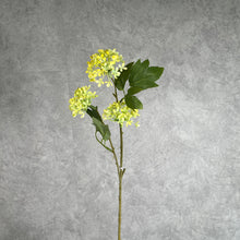 Load image into Gallery viewer, Snowball Viburnum Artificial Silk Flower Short Stem VIBURNUM004 Yellow
