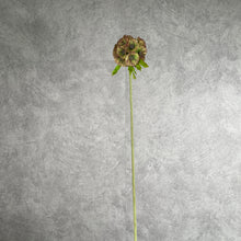 Load image into Gallery viewer, Pristimera Cambodiana Artificial Flower Blush Green PRISTIMERACAMBODIANA001
