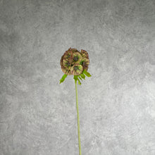 Load image into Gallery viewer, Pristimera Cambodiana Artificial Flower Blush Green PRISTIMERACAMBODIANA001
