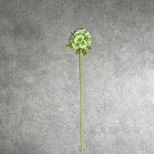 Load image into Gallery viewer, Pristimera Cambodiana Artificial Flower Green PRISTIMERACAMBODIANA002
