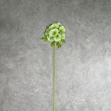 Load image into Gallery viewer, Pristimera Cambodiana Artificial Flower Green PRISTIMERACAMBODIANA002
