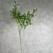 Load image into Gallery viewer, Olive Green
