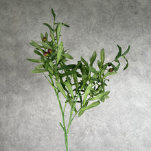 Load image into Gallery viewer, Olive Green
