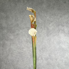 Load image into Gallery viewer, Trumpet Artificial Flower Brown TRUMPET002
