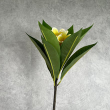 Load image into Gallery viewer, Frangipani 93cm Artificial Flower Yellow FRANGIPANI001
