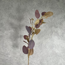 Load image into Gallery viewer, Eucalyptus Artificial Greenery 70cm 4 colors selections EUCALYPTUS pale burgundy
