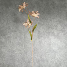 Load image into Gallery viewer, Double Lily Peach
