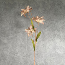 Load image into Gallery viewer, Double Lily Peach
