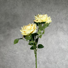 Load image into Gallery viewer, Rose Paris 3 Heads Artificial Silk Flower Stem PARISROSE031-035 Cream
