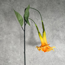 Load image into Gallery viewer, Datura Orange
