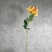 Load image into Gallery viewer, Dahlia Yellow
