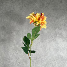 Load image into Gallery viewer, Dahlia Yellow
