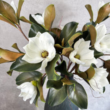 Load image into Gallery viewer, MAGNOLIA NOIR

