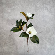 Load image into Gallery viewer, Magnolia White with Leaves MAGNOLIA0014
