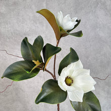Load image into Gallery viewer, Magnolia White with Leaves MAGNOLIA0014
