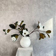 Load image into Gallery viewer, White Magnolia Arrangement | Custom Stem Quantity &amp; Vase Selection
