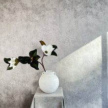 Load image into Gallery viewer, White Magnolia Arrangement | Custom Stem Quantity &amp; Vase Selection
