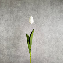 Load image into Gallery viewer, Tulip Artificial Real Touch Silk Flowers 68cm Stem TULIP026 White
