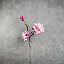 Load image into Gallery viewer, MAGNOLIA PINK SINGLE STEM
