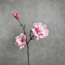 Load image into Gallery viewer, MAGNOLIA PINK SINGLE STEM
