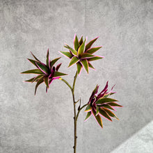 Load image into Gallery viewer, Dracaena Artificial Silk Flowers Purple/Green DRACAENA002
