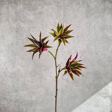 Load image into Gallery viewer, Dracaena Artificial Silk Flowers Purple/Green DRACAENA002
