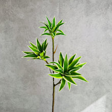 Load image into Gallery viewer, Dracaena Artificial Silk Flowers Green DRACAENA001
