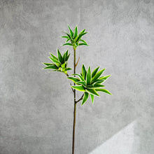 Load image into Gallery viewer, Dracaena Artificial Silk Flowers Green DRACAENA001
