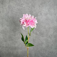 Load image into Gallery viewer, DAHLIA025 Pink

