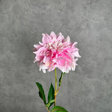 Load image into Gallery viewer, DAHLIA025 Pink
