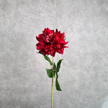 Load image into Gallery viewer, DAHLIA024 Red

