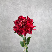 Load image into Gallery viewer, DAHLIA024 Red
