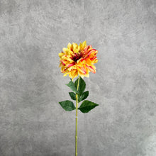 Load image into Gallery viewer, DAHLIA023 Yellow
