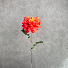 Load image into Gallery viewer, DAHLIA022 Orange
