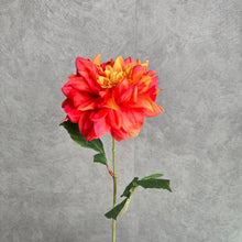 Load image into Gallery viewer, DAHLIA022 Orange
