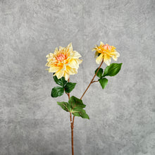 Load image into Gallery viewer, DAHLIA029 Yellow
