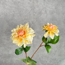 Load image into Gallery viewer, DAHLIA029 Yellow

