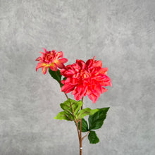 Load image into Gallery viewer, DAHLIA026 Orange
