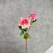 Load image into Gallery viewer, DAHLIA027 Pink Real Touch
