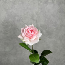 Load image into Gallery viewer, Real Touch Single Rose Stem 68cm – Light Pink
