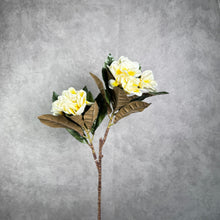 Load image into Gallery viewer, Real Touch Frangipani white 84cm - white with yellow
