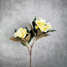 Load image into Gallery viewer, Real Touch Frangipani white 84cm - white with yellow
