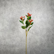 Load image into Gallery viewer, Hypericum Red 67cm
